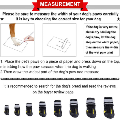 Canine Footwear for Extreme Weather: Protective Shoes for Hot Pavement and Winter Conditions