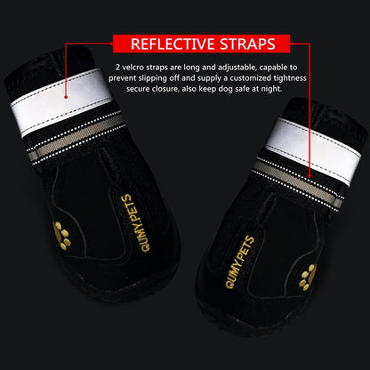 Canine Footwear for Extreme Weather: Protective Shoes for Hot Pavement and Winter Conditions
