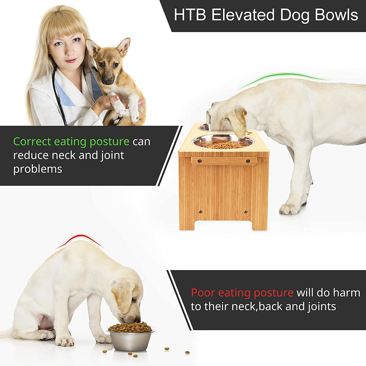 Elevated Dog Bowl Stand with Two Stainless Steel Bowls for Dogs of All Sizes