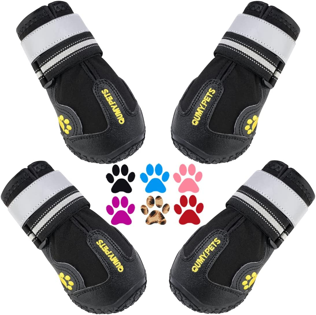 Canine Footwear for Extreme Weather: Protective Shoes for Hot Pavement and Winter Conditions
